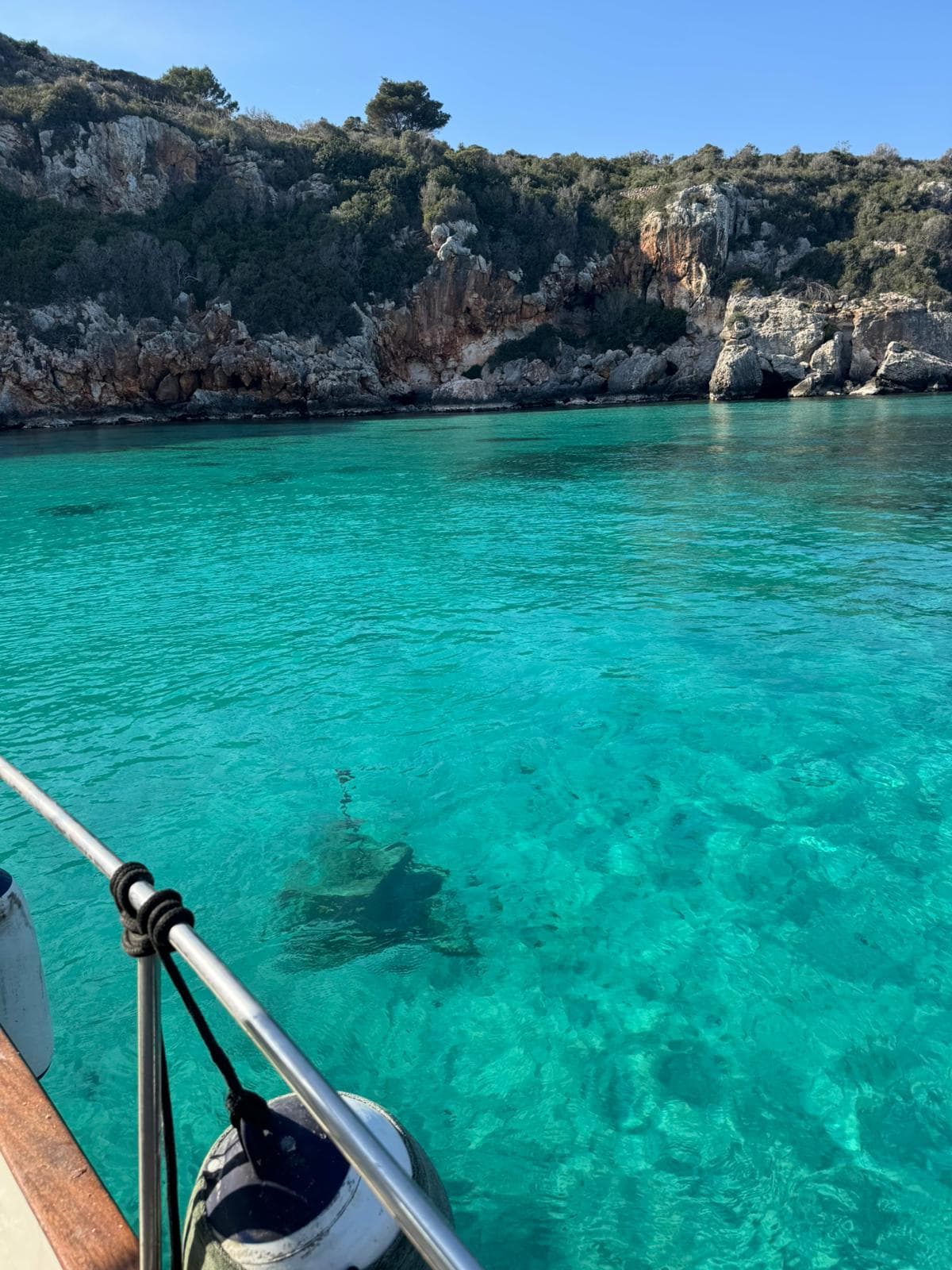 Gamba roja de Menorca